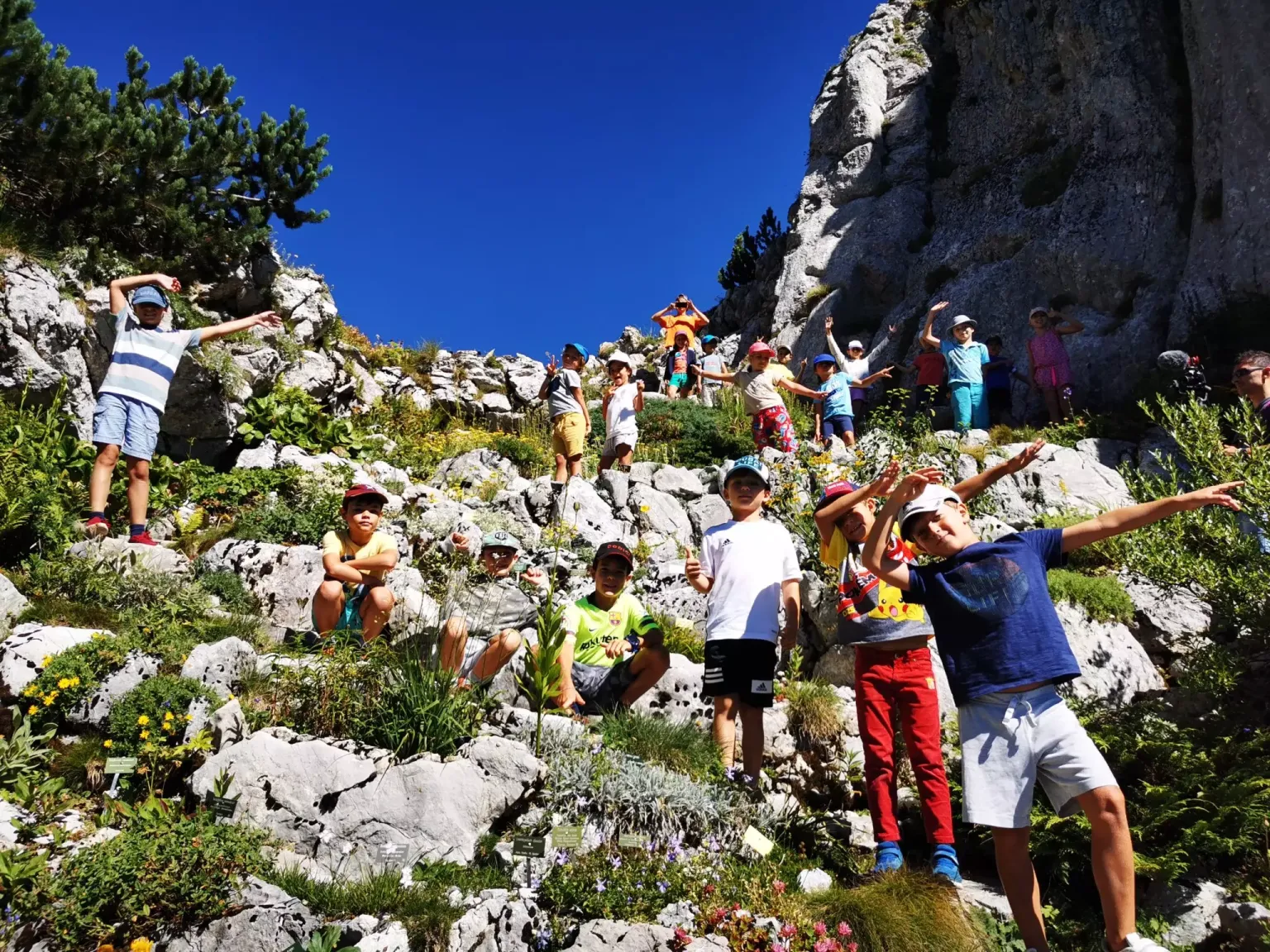 Enfants en excursion de montagne pendant un camp de vacances Kids Trip Swiss en Suisse romande